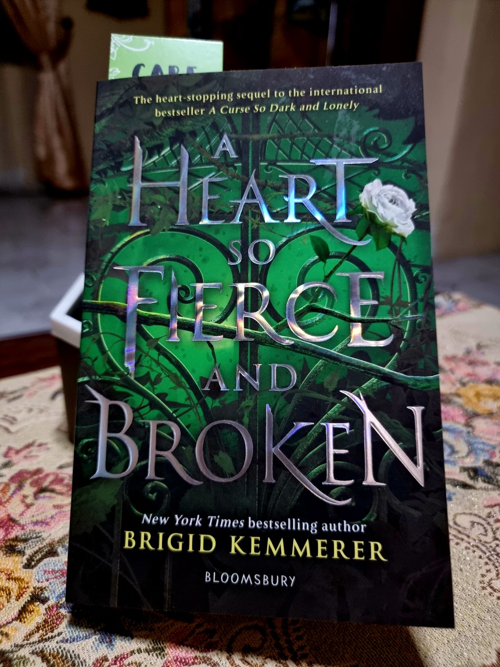 Book Review: A Heart so Fierce and Broken